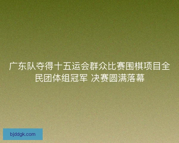 广东队夺得十五运会群众比赛围棋项目全民团体组冠军 决赛圆满落幕